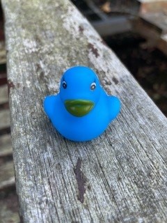 Rubber Duck